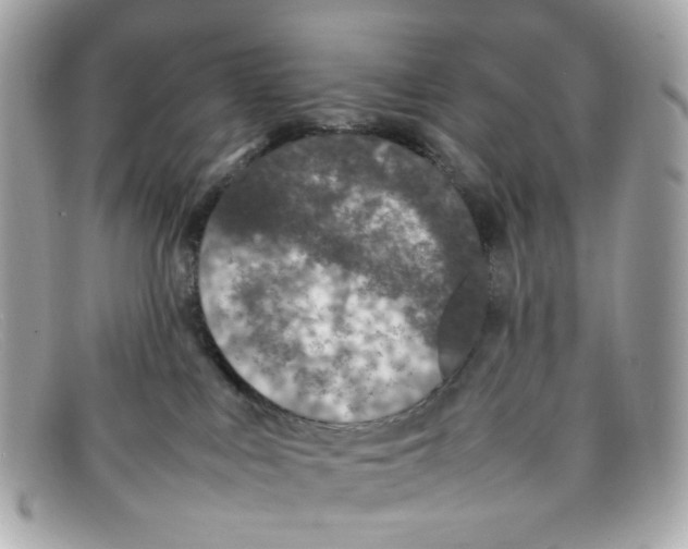 X0000097960043200804211115