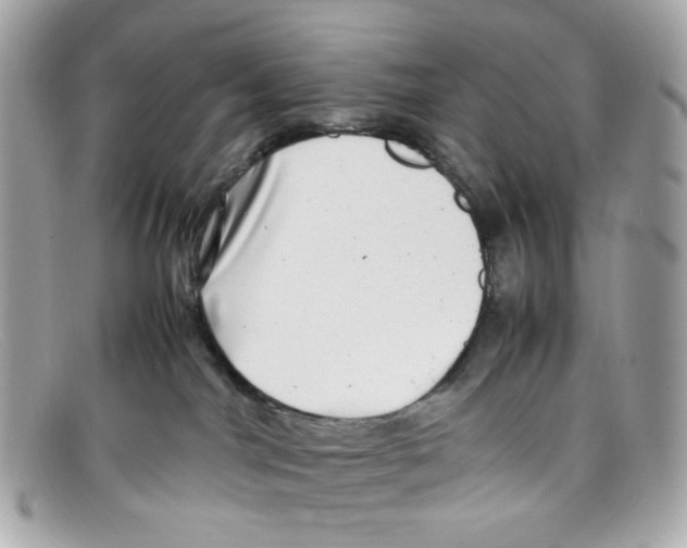 X0000097960044200804211115