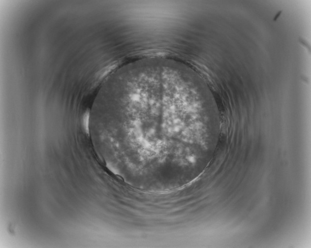 X0000097960047200804211115