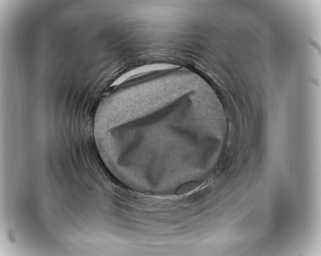X0000097960048200804211115