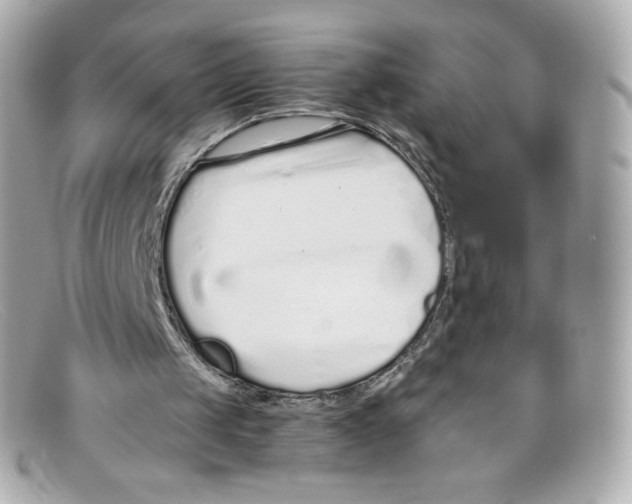 X0000097960049200804211114