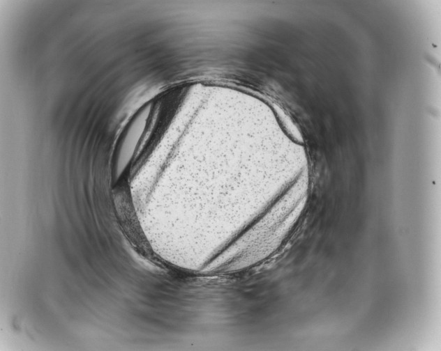 X0000097960050200804211114