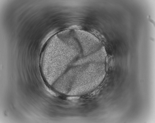 X0000097960051200804211114
