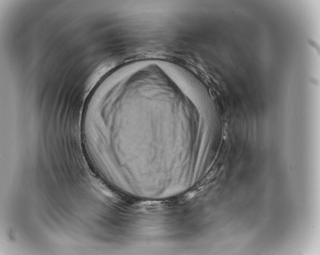 X0000097960052200804211114