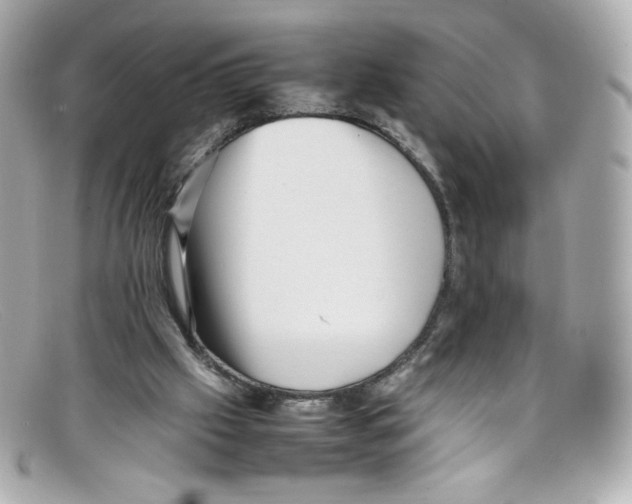 X0000097960057200804211114
