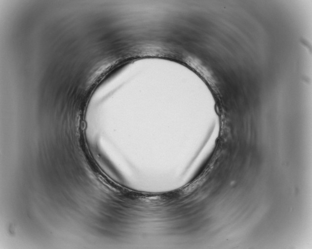 X0000097960058200804211114