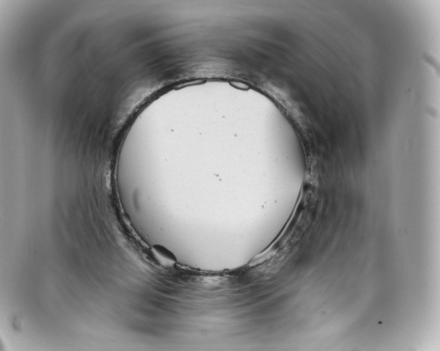 X0000097960060200804211114