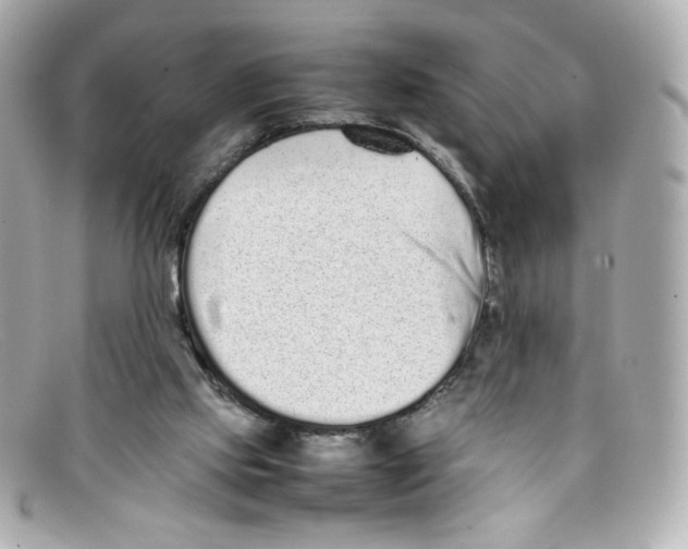 X0000097960061200804211114
