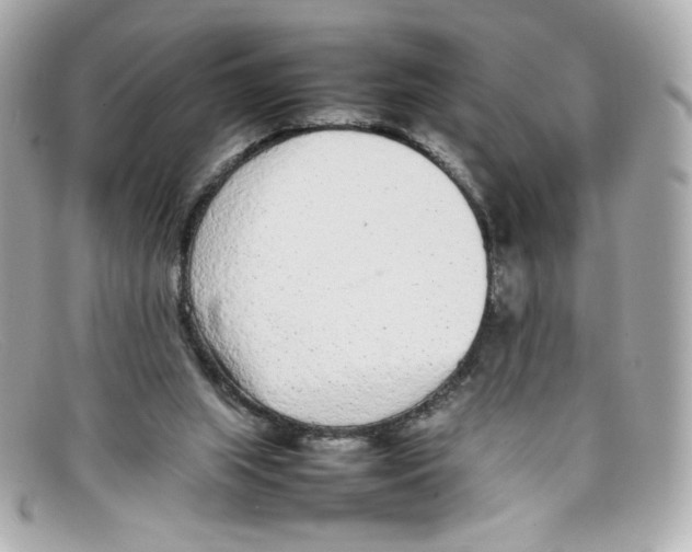 X0000097960063200804211114