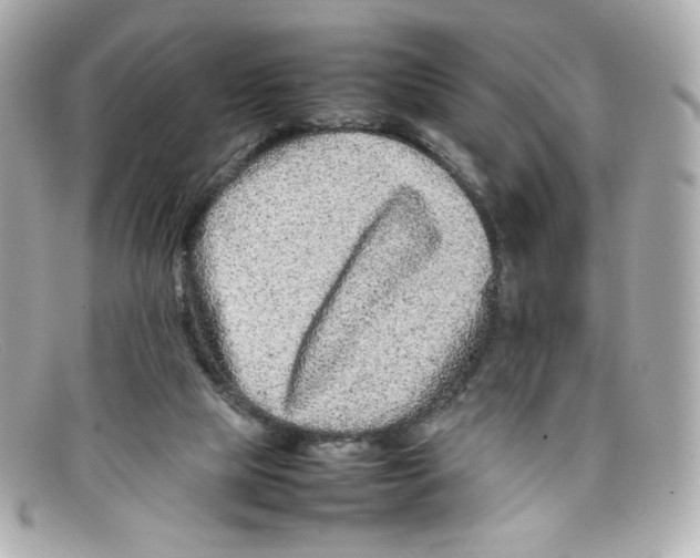 X0000097960065200804211114