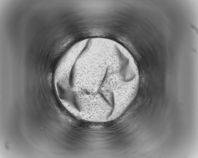 X0000097960066200804211114