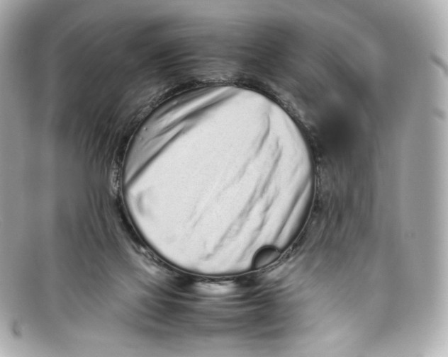 X0000097960069200804211114