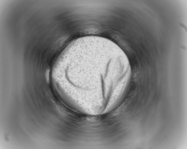 X0000097960070200804211114