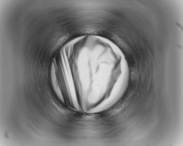 X0000097960072200804211114