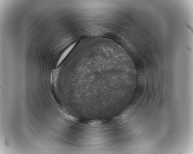 X0000097960076200804211114