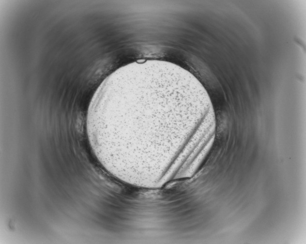 X0000097960078200804211114