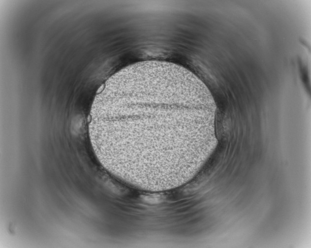X0000097960079200804211114