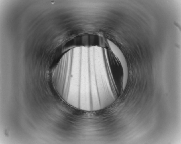 X0000097960080200804211114