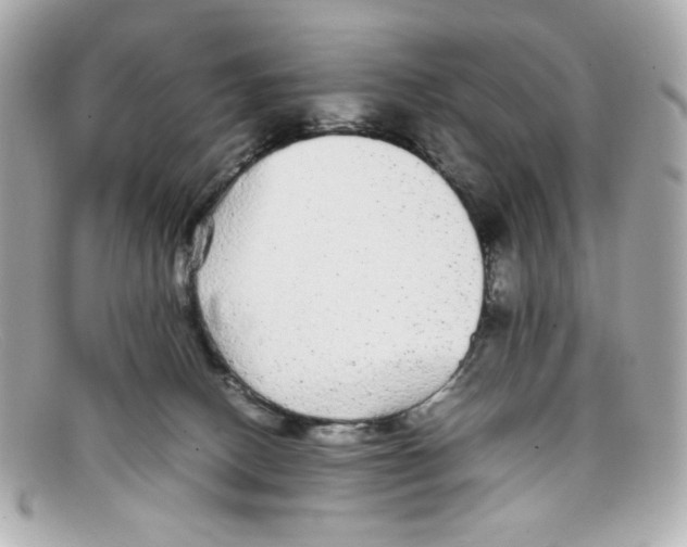 X0000097960082200804211114