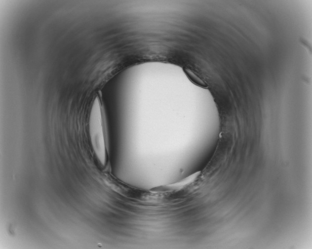 X0000097960084200804211114