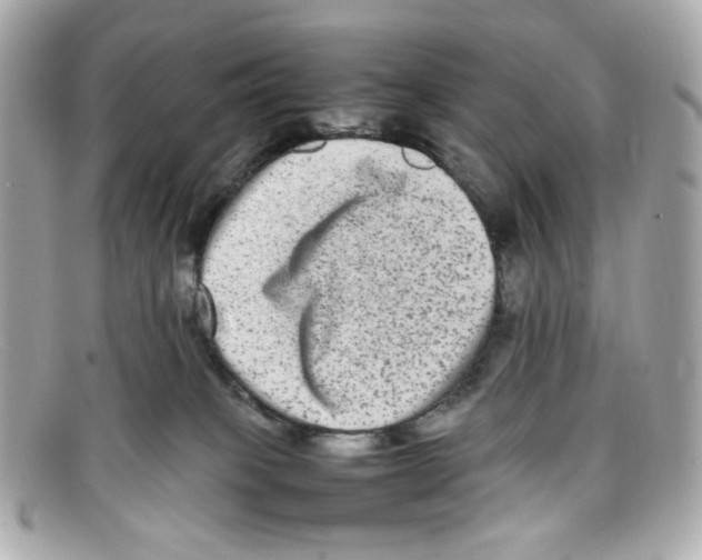 X0000097960085200804211114