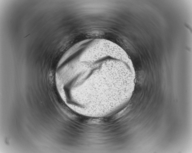 X0000097960086200804211114