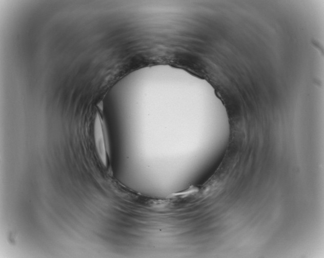 X0000097960088200804211115