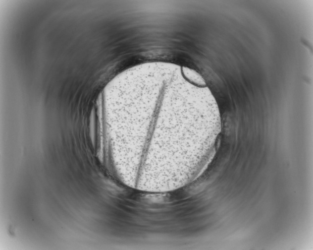 X0000097960089200804211115