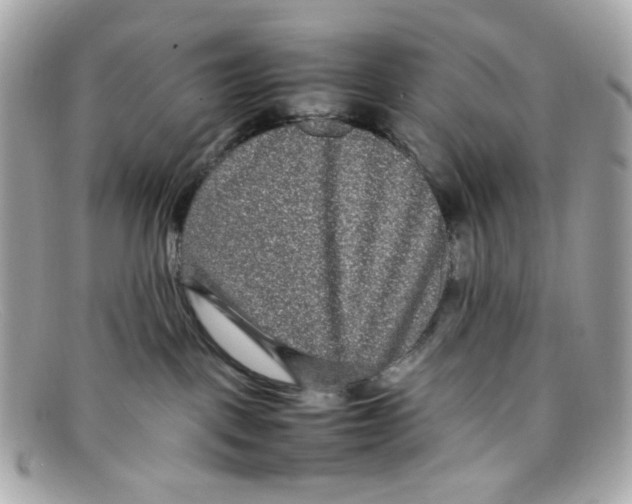 X0000097960093200804211115