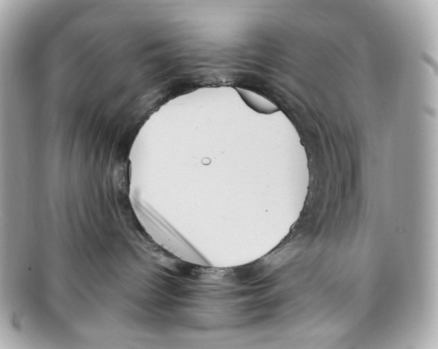 X0000097960096200804211115