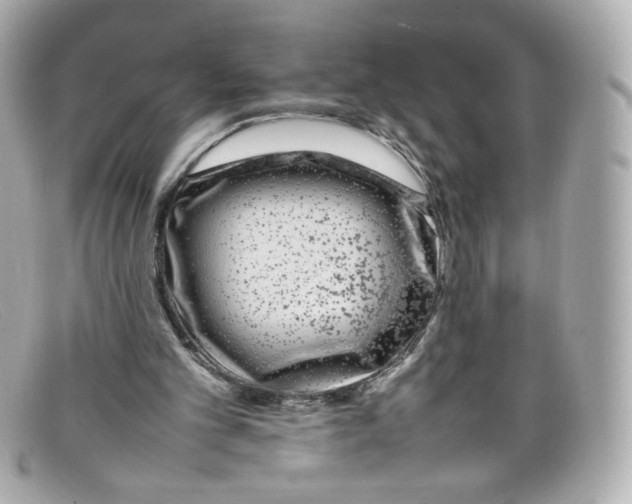 X0000097960101200804211114