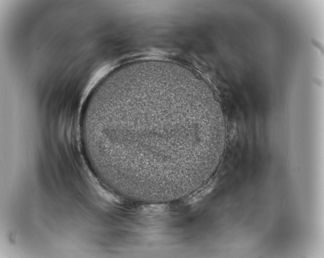 X0000097960102200804211114