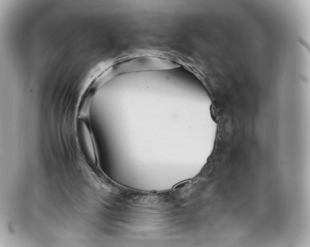X0000097960104200804211114