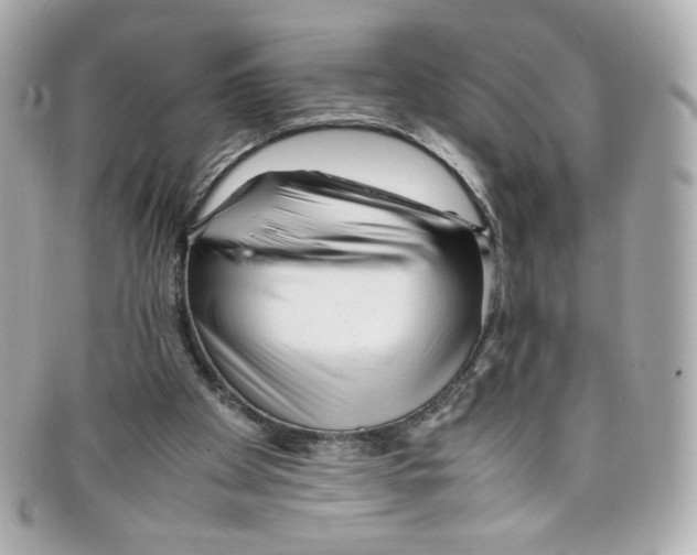 X0000097960105200804211114