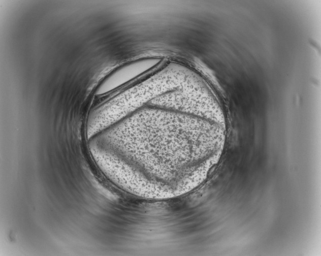 X0000097960106200804211114