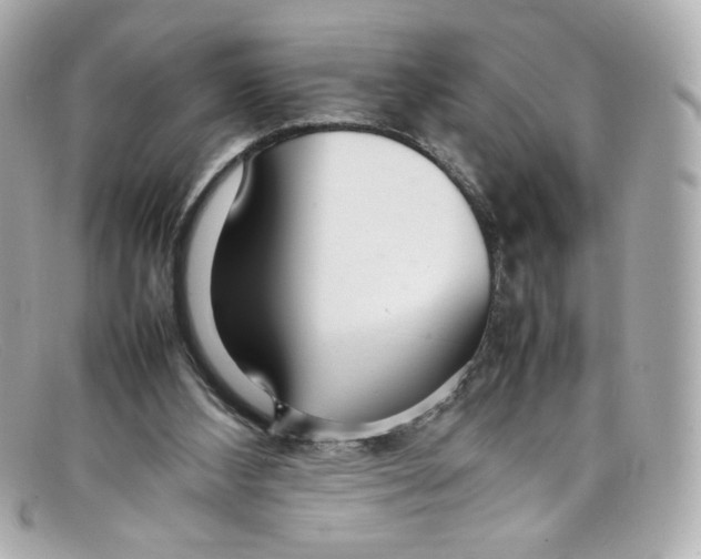 X0000097960108200804211114