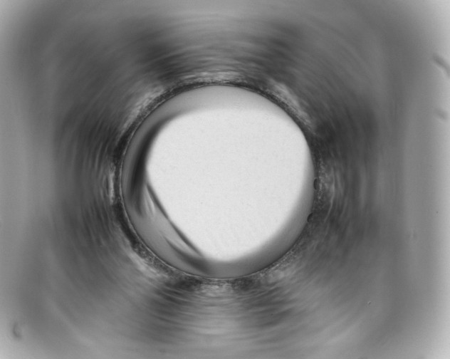 X0000097960110200804211114
