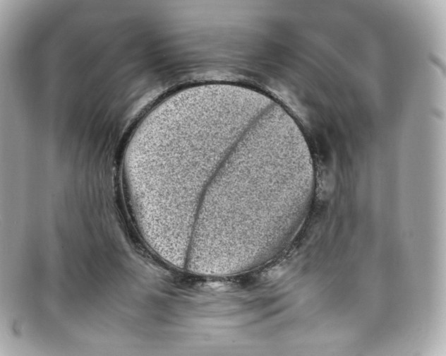 X0000097960111200804211114