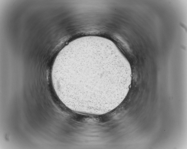 X0000097960115200804211113