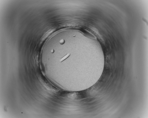 X0000097960116200804211113