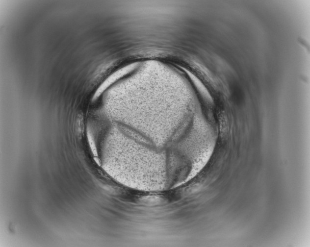 X0000097960119200804211113