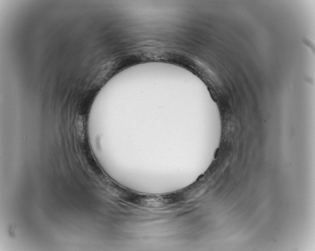 X0000097960121200804211113