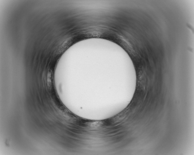 X0000097960122200804211113