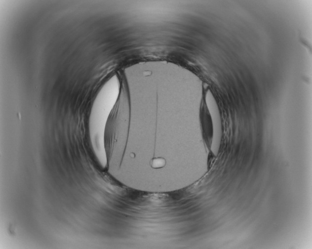 X0000097960128200804211113