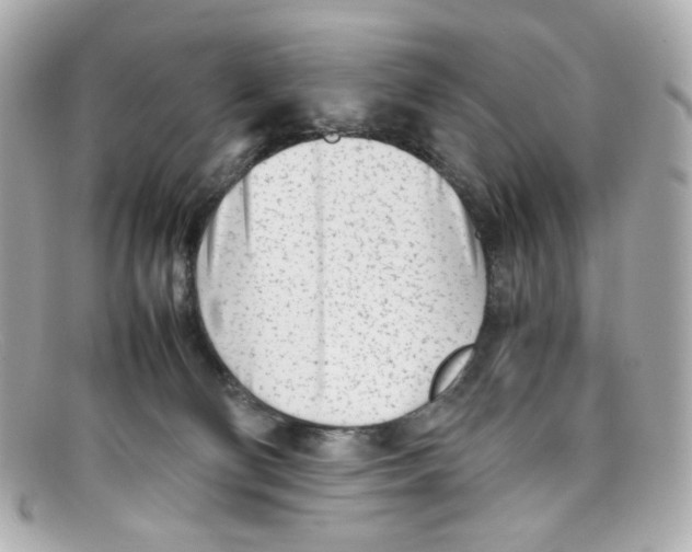 X0000097960130200804211113