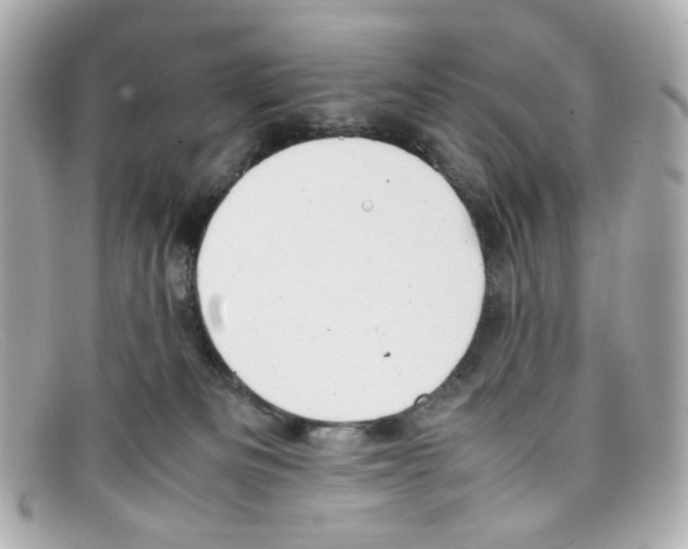 X0000097960133200804211113