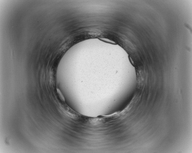 X0000097960136200804211113