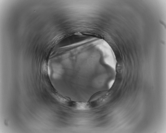X0000097960143200804211113