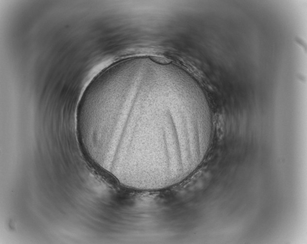 X0000097960148200804211112