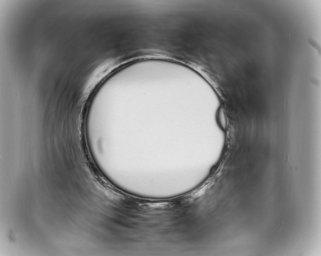 X0000097960151200804211112
